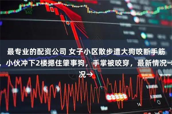最专业的配资公司 女子小区散步遭大狗咬断手筋，小伙冲下2楼摁住肇事狗，手掌被咬穿，最新情况→
