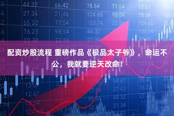 配资炒股流程 重磅作品《极品太子爷》，命运不公，我就要逆天改命！
